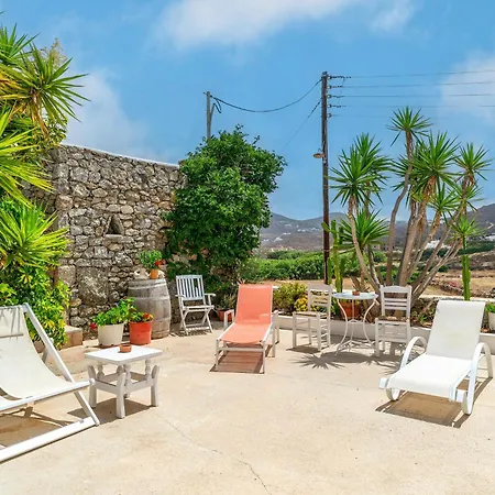 Afroditi Ftelia Yasemi B Panormos (Mykonos)